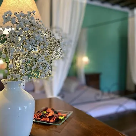 Il Poggio Della Pieve * Santa Luce